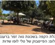 לפעמים כל מה שצריך זה מישהו שירים את הכפפה.