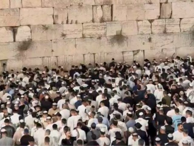 סליחות בכותל המערבי. צילום: הקרן למורשת הכותל