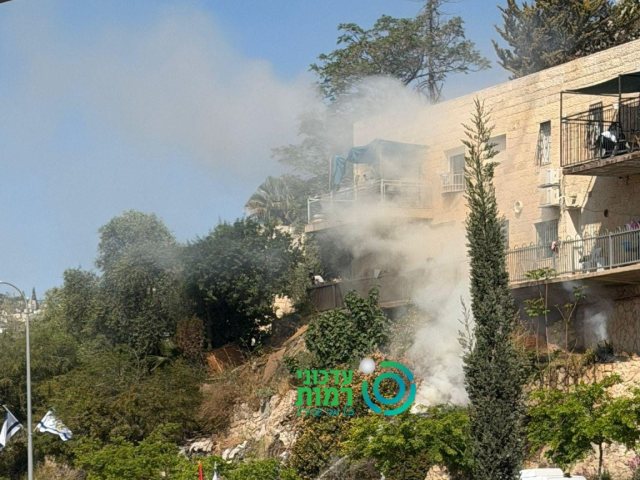 זירת השריפה | עדכוני רמות