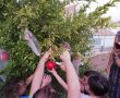 הכירו את "משפחות האדמה" קהילה אינטימית למשפחות המחפשות חיים עם הטבע בגן יבנה 