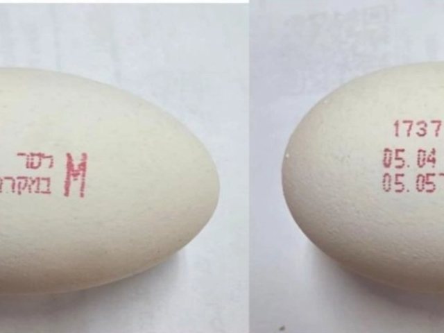 הביצים החשודות | משרד הבריאות