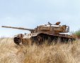 טנקים ישראליים | shutterstock