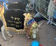 הערב באשדוד: מצות "פדיון פטר חמור" 