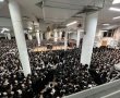 מעצמת גור: אלפי חסידים במעמד סליחות אצל הרבי. צפו