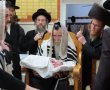 כְּשֵׁם שֶׁנִּכְנַס לִבְרִית: בחצר טשאנאביל חגגו את הברית לנין הרבי