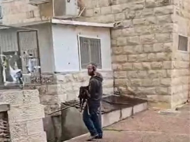 עם הגדי בדרך להר הבית | חוזרים להר