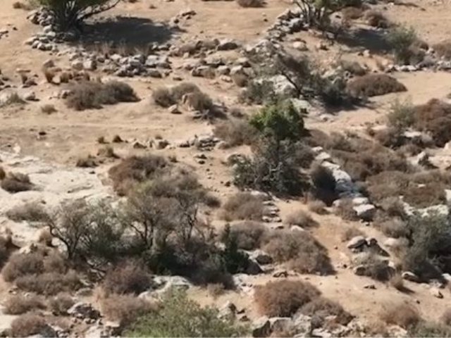 תפיסת חוליית שודדי העתיקות בשפלת יהודה. צילום: רשות העתיקות