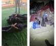 פשיטה לילית ברהט: 13 עצורים ונשקים הוחרמו בלב שכונות המגורים
