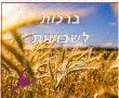 ברכה לחג שבועות עם תמונות לברך חג שמח גלויות מקוריות שבועות 2025 כניסת החג ואטרקציות ברחבי הארץ 