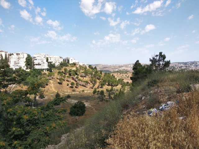 הוואדי בנחל רוממה | צילום: יונתן היימן
