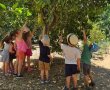 טקסי שבועות באזור נס ציונה ורחובות:  סיור ערב בפרדס אפיית פיתות וסדנאות 