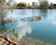 האם עיריית ראשון לציון תזכה להיות אחת מהערים הירוקות של ישראל?