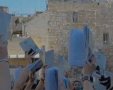"הפכו את הכותל לאתר הפגנה" | הקרן למורשת הכותל