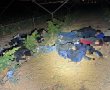 21 שוהים בלתי חוקיים נתפסו במבצע ביטחוני בשטח המועצה האזורית לכיש