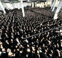 חסידות גור | צילום: שוקי לרר
