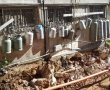 ערנות תושבים ושירותי הכבאות מנעה אסון