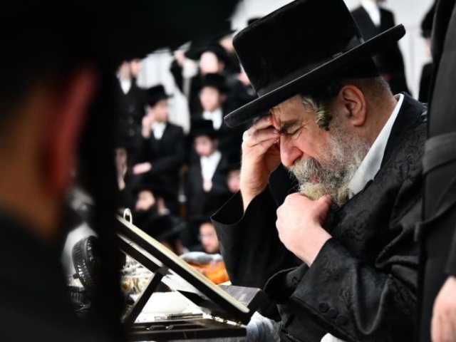 האדמו"ר מרחמיסטריווקא. צילום: שוקי לרר