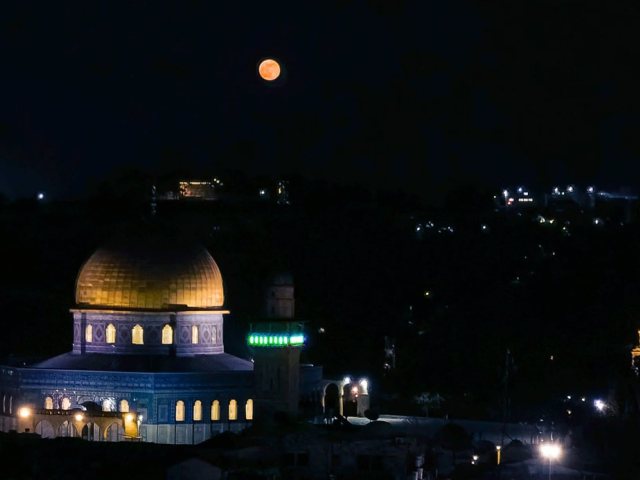 אילוסטרציה 