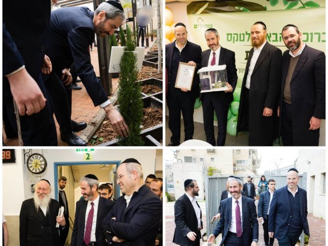 שתילים