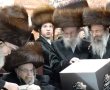 "הרבי ביקש": הקריאה החריגה בנוכחות האדמו"ר בפני אלפי חסידי בעלזא | צפו