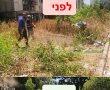 גם לבניינים הוותיקים מגיע: חצרות שסבלו מהזנחה רבת שמים קיבלו מראה חדש