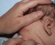 הדסה: ניצל תינוק בן חודש וחצי שעקץ על ידי נדל ארסי 