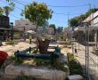 למה כורתים את העצים במדרחוב קק"ל?