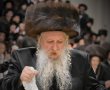 בעלוץ צדיקים: גלריה מרהיבה משמחת בית טשארנאביל פינסק