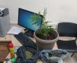 בני זוג מכפר אחים נתפסו עם מאות גרמים של סמים בביתם