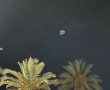 אירוע חריג במהלך פשיטה בנגב: חשוד נעצר לאחר שסנוור טייסי מסוק משטרתי עם לייזר