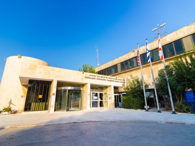 בית החולים הדסה | שאטרסטוק