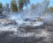 ריחות שריפה קשים הבוקר ברחבי אשדוד - וזו הסיבה