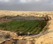 ממש מתחת לאף שלנו: מעל 160 חממות סמים נחשפו בשלושת הימים האחרונים בנגב