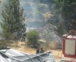 שוב שריפות -הפעם בארנונה וביער עמינדב