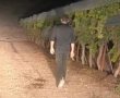 מספר אירועי הפשיעה בסוף השבוע במועצה האזורית לכיש