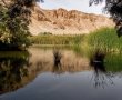 אטרקציות לסוף השבוע הקרוב