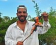 מרחוב רמב"ם ועד קמ"ג: המסע של דורון בוקובזה להפוך לסוכן איראני