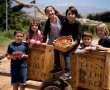 שבועות 2023 בצפון : בוסתן בראשית קטיף דובדבנים ושלל אטרקציות במקום אחד. לאן מטיילים בשבועות תשפ"ג? 