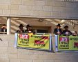 אין גיוס - אין דירות | אילוסטרציה shutterstock