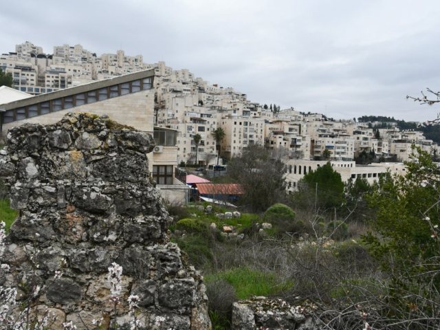 היער בפאתי שכונת הר נוף. באדיבות המצלם