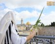 ברכת כהנים הכותל המערבי. הקרן למורשת הכותל