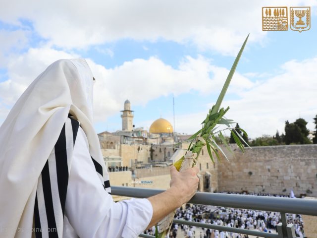ברכת כהנים הכותל המערבי. הקרן למורשת הכותל