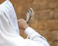 תקיעת שופר | shutterstock