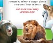 החי-כיף יסגר לרגל שיפוצים 