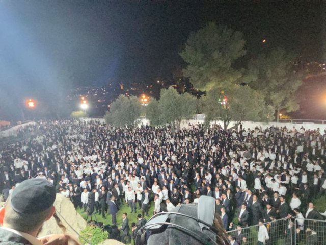 אלפים חוגגים | צילום: שמילי שטרן