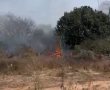 שריפת קוצים במחלף עד הלום - כוחות כיבוי במקום